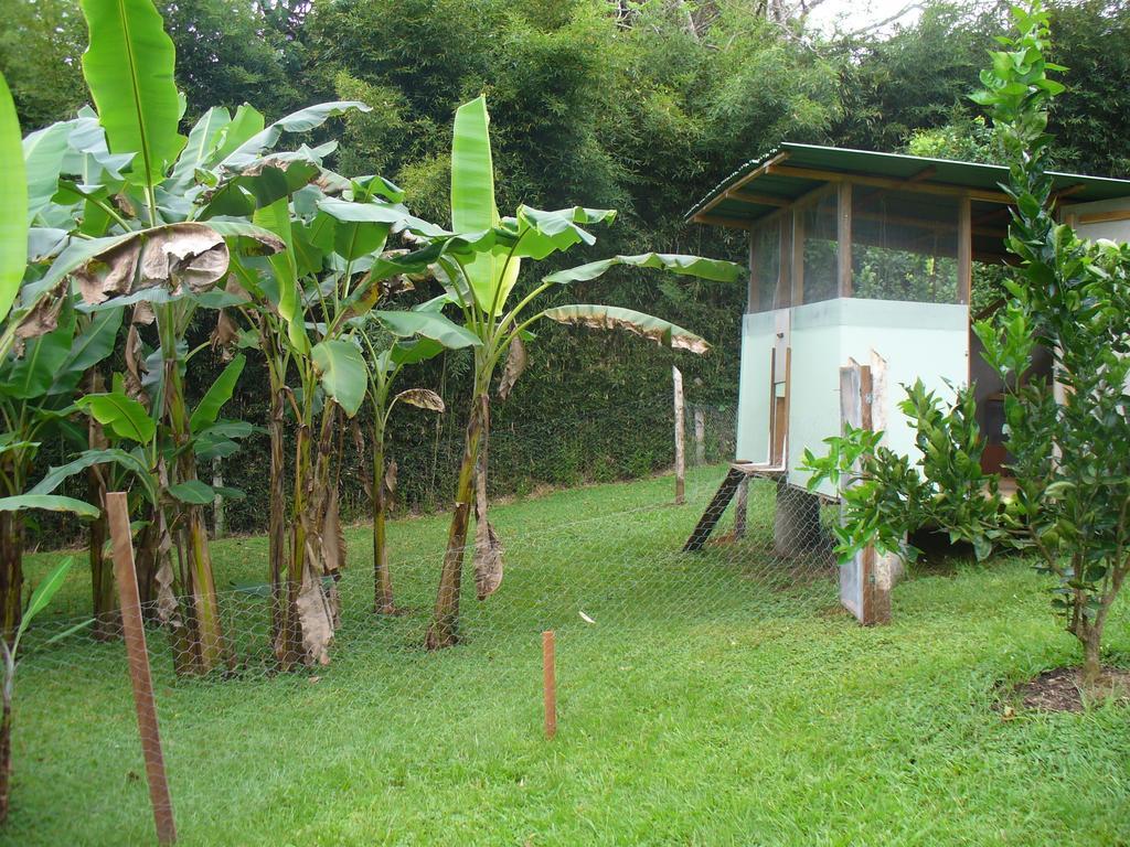 El Paraiso Verde B&B Atenas Exteriér fotografie
