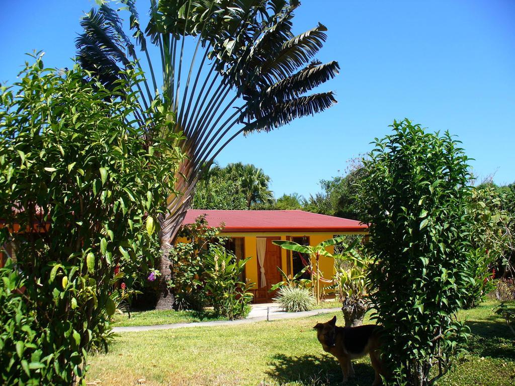 El Paraiso Verde B&B Atenas Pokoj fotografie